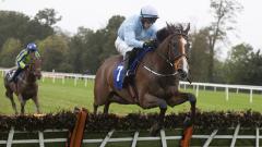 Jumps horse Rocket Lad 